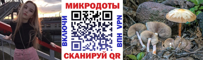 Купить закладки  Трубчевск  Галлюциногенные грибы мухоморы 